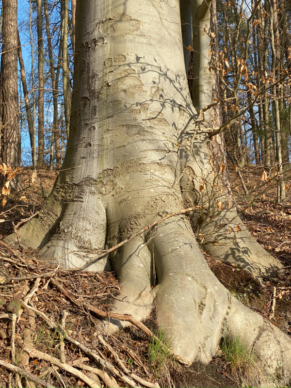 Inneren Halt finden in der materiellen Struktur des Körpers